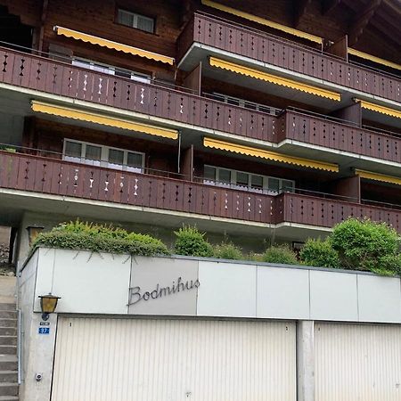 Luxury, New - Amazing Views Grindelwald Eiger Jungfrau Moench Apartment Bagian luar foto