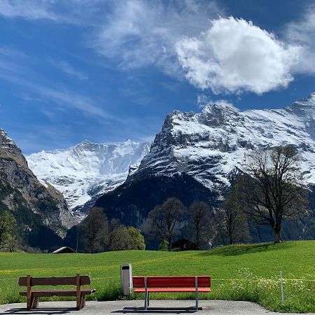 Luxury, New - Amazing Views Grindelwald Eiger Jungfrau Moench Apartment Bagian luar foto
