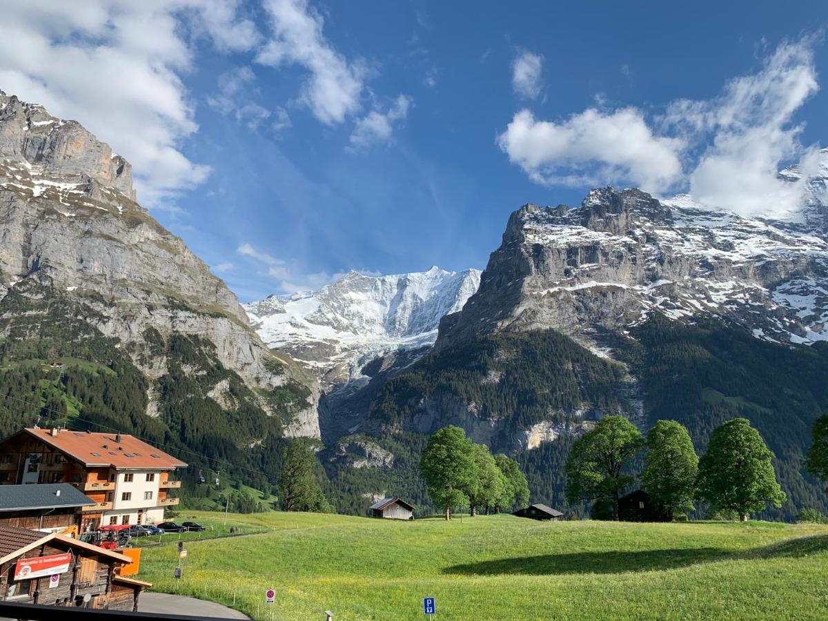 Luxury, New - Amazing Views Grindelwald Eiger Jungfrau Moench Apartment Bagian luar foto