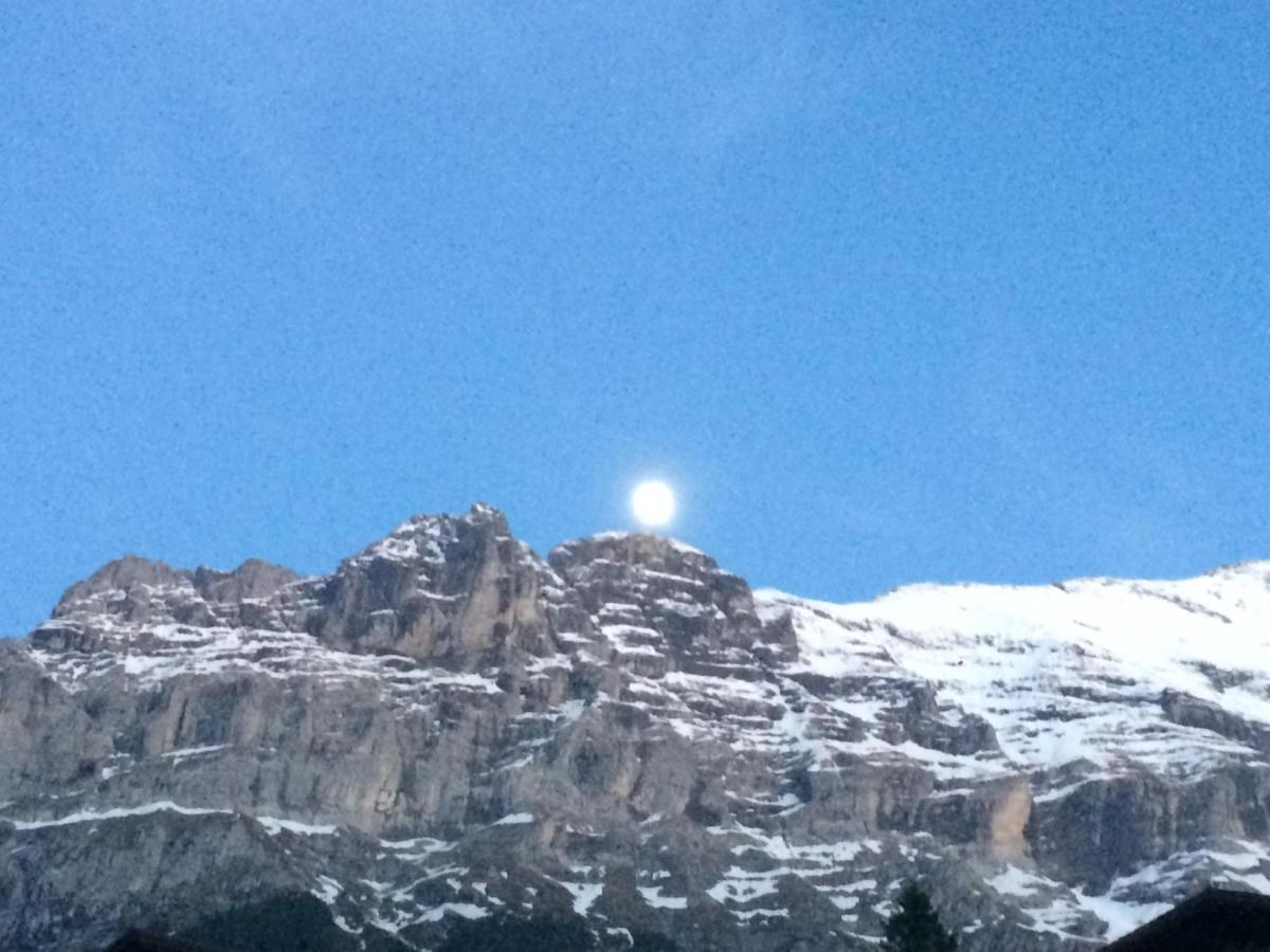 Luxury, New - Amazing Views Grindelwald Eiger Jungfrau Moench Apartment Bagian luar foto