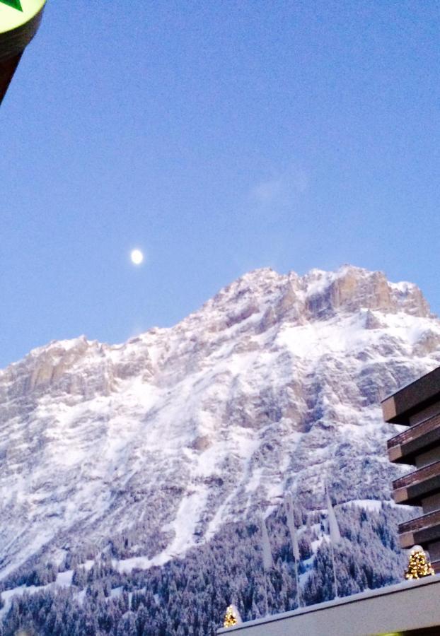 Luxury, New - Amazing Views Grindelwald Eiger Jungfrau Moench Apartment Bagian luar foto