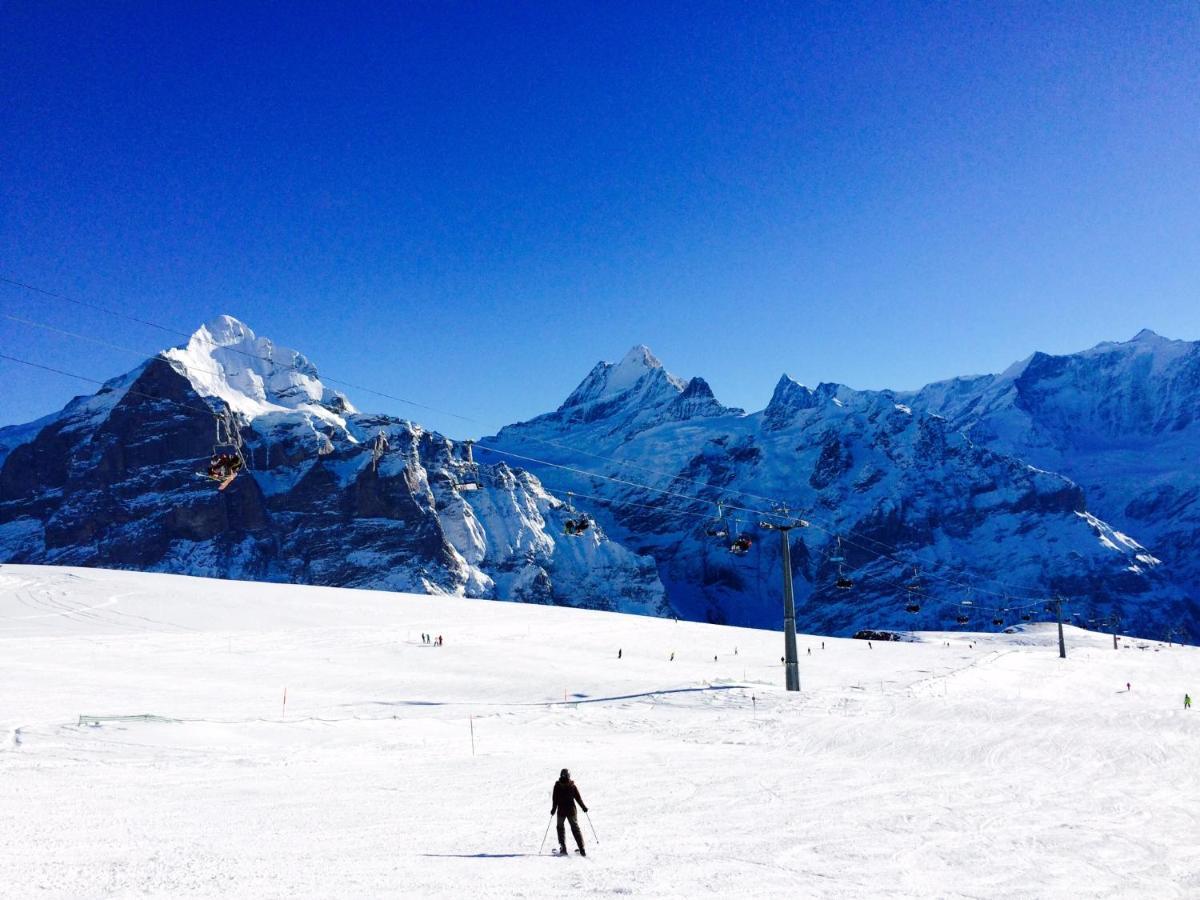 Luxury, New - Amazing Views Grindelwald Eiger Jungfrau Moench Apartment Bagian luar foto