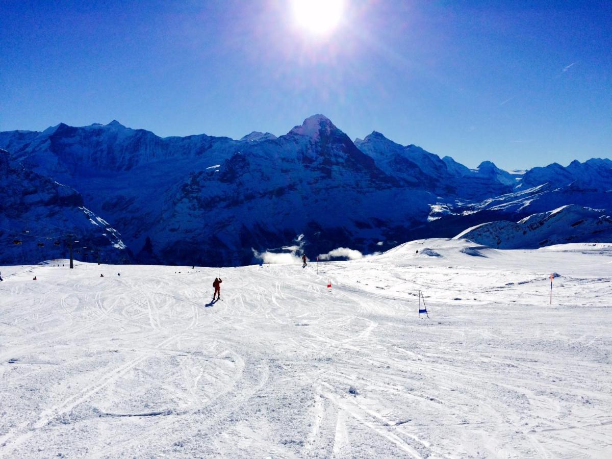 Luxury, New - Amazing Views Grindelwald Eiger Jungfrau Moench Apartment Bagian luar foto