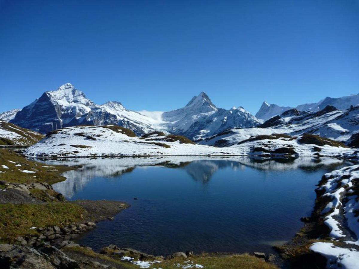 Luxury, New - Amazing Views Grindelwald Eiger Jungfrau Moench Apartment Bagian luar foto