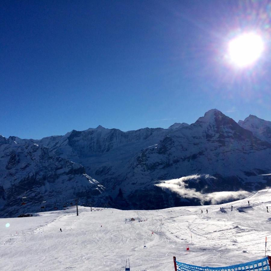 Luxury, New - Amazing Views Grindelwald Eiger Jungfrau Moench Apartment Bagian luar foto