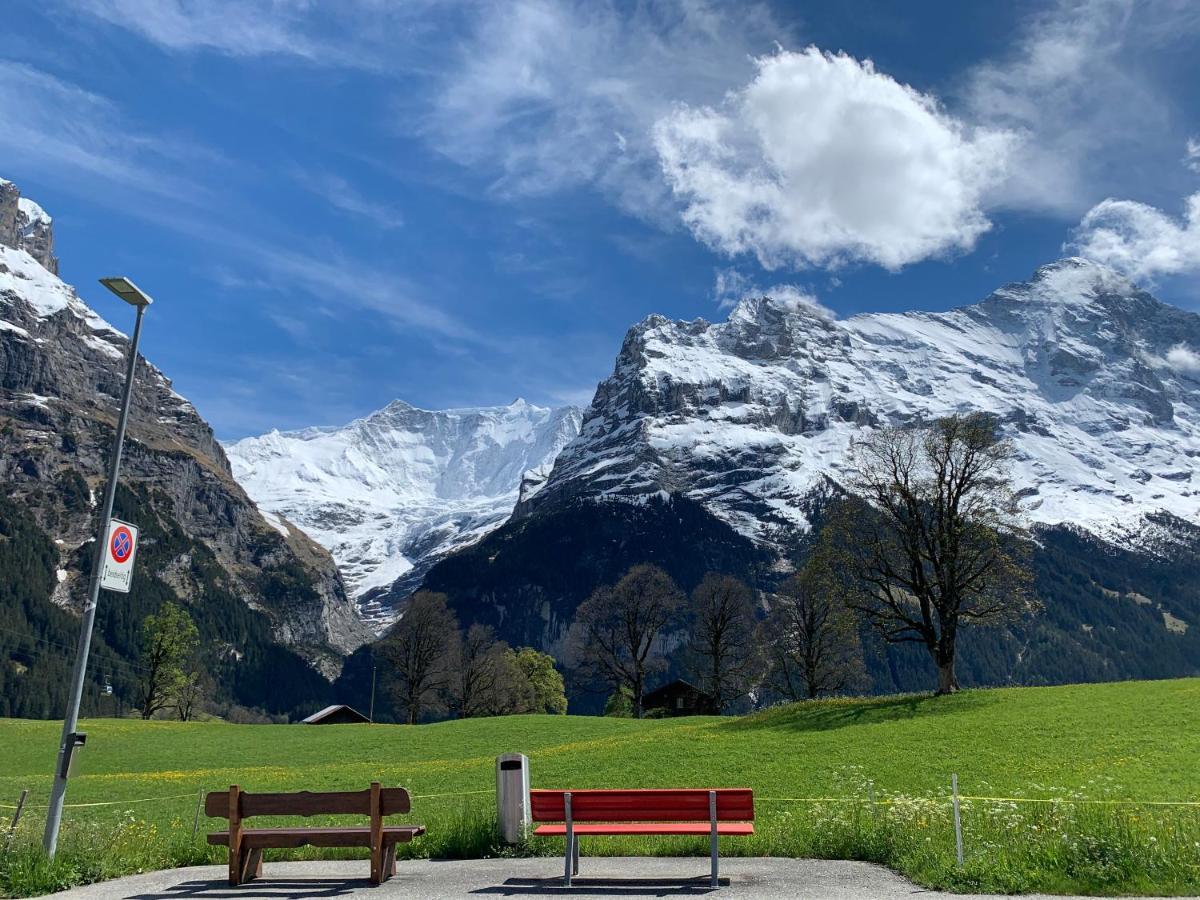 Luxury, New - Amazing Views Grindelwald Eiger Jungfrau Moench Apartment Bagian luar foto